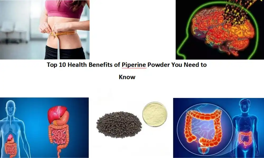 Top 10 Health Benefits of Piperine Powder You Need to Know